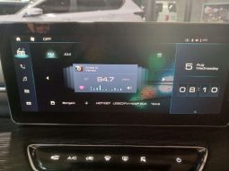 
										HAVAL H2/JOLION JOLION 1.5T SUPER LUXURY DCT full									
