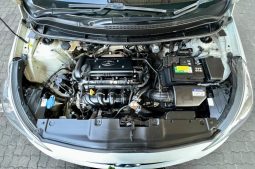 
										Hyundai Accent Hatch 1.6 Fluid full									