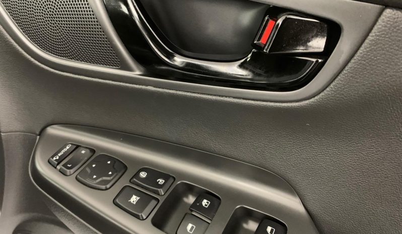 
								Hyundai Kona 2.0 Executive At full									
