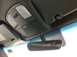 
										Hyundai Kona 2.0 Executive At full									