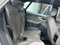 
										Audi Q8 45 Tdi Quattro Tiptronic full									