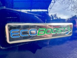 
										Ford Fiesta 1.0 Ecoboost Ambiente Powershift full									