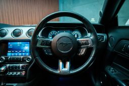 
										Ford Mustang 5.0 Gt Fastback At full									