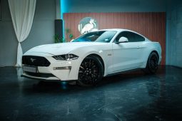 
										Ford Mustang 5.0 Gt Fastback At full									