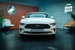 
										Ford Mustang 5.0 Gt Fastback At full									