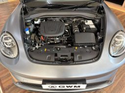 
										Gwm Ora 5 1.5T Super Luxury 7DCT full									