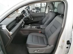 
										Gwm P-Series P300 D/CAB 2.4TD LT 4X2 AUTO full									