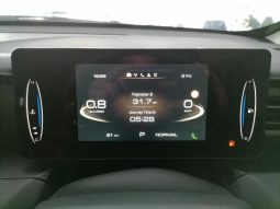 
										Gwm P-Series P300 D/CAB 2.4TD LT 4X2 AUTO full									
