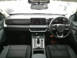 
										Gwm P-Series P300 D/CAB 2.4TD LT 4X2 AUTO full									