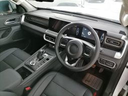 
										Gwm P-Series P300 D/CAB 2.4TD LT 4X2 AUTO full									