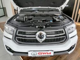 
										Gwm P-Series P300 D/CAB 2.4TD LT 4X2 AUTO full									