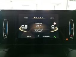 
										Gwm P-Series P300 D/CAB 2.4TD LT 4X4 AUTO full									