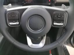 
										Gwm P-Series P300 D/CAB 2.4TD LT 4X4 AUTO full									