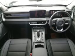 
										Gwm P-Series P300 D/CAB 2.4TD LT 4X4 AUTO full									