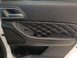 
										GWM P-SERIES P-SERIES 2.0TD LTD 4X4 A/T D/C P/U full									