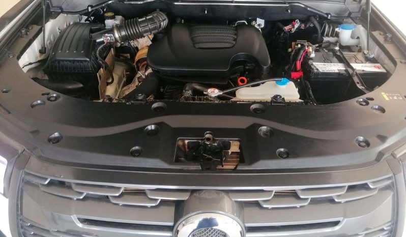 
								GWM P-SERIES P-SERIES 2.0TD LTD 4X4 A/T D/C P/U full									