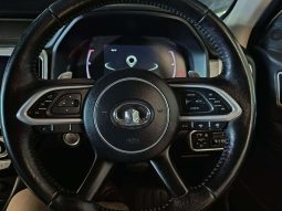 
										GWM P-SERIES P-SERIES 2.0TD LTD 4X4 A/T D/C P/U full									