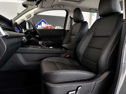 
										GWM P-SERIES P300 2.4TD LTD 4X4 A/T D/C P/U full									