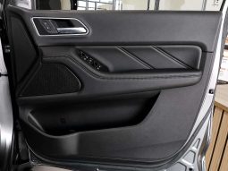 
										GWM P-SERIES P300 2.4TD LTD 4X4 A/T D/C P/U full									