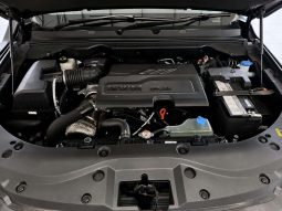 
										GWM P-SERIES P300 2.4TD LTD 4X4 A/T D/C P/U full									