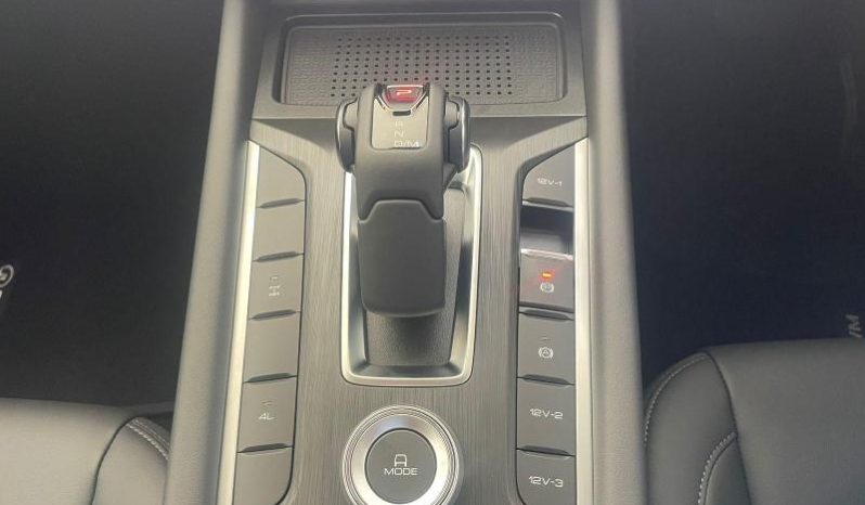 
								Gwm P300 2.4T Ls D Cab 4wd full									