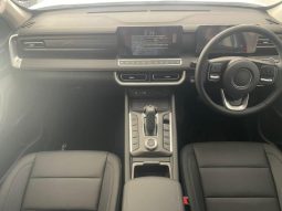 
										Gwm P300 2.4T Ls D Cab 4wd full									