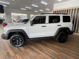 
										Gwm Tank 300 2.4D Luxury 4X2 At full									