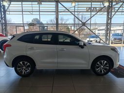 
										HAVAL H2/JOLION JOLION 1.5T PREMIUM DCT full									