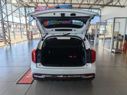 
										HAVAL H2/JOLION JOLION 1.5T PREMIUM DCT full									