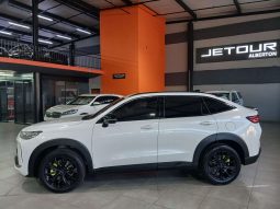 
										HAVAL H6 H6 GT 2.0T SUPER LUXURY 4X4 DCT full									