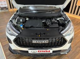 
										Haval Jolion Pro 1.5T Premium Dct full									