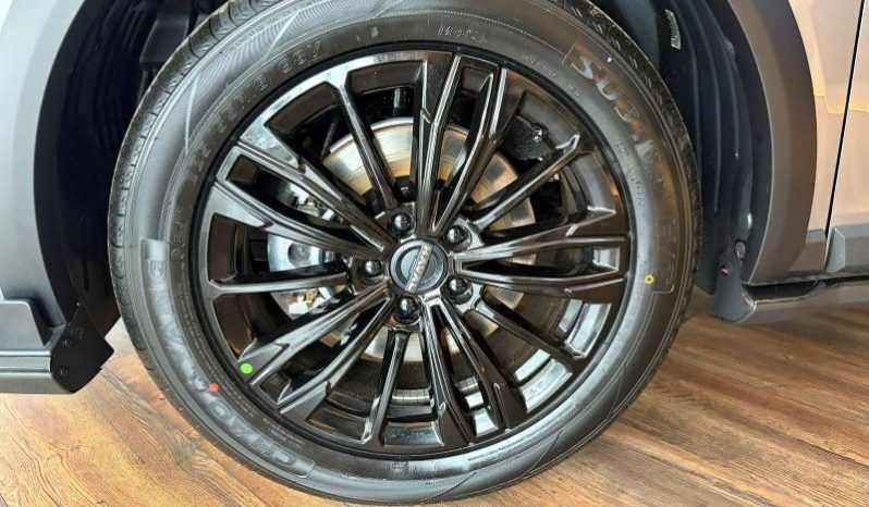 
								Haval Jolion Pro 1.5T Super Luxury Dct full									