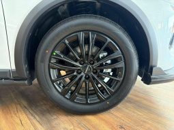 
										Haval Jolion Pro 1.5T Super Luxury Dct full									