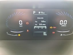 
										Hyundai Staria 2.2D Executive 9 Seater At full									