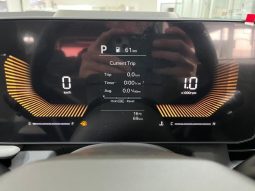 
										Kia Seltos 1.5 Ls full									