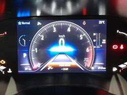 
										Renault Kiger 1.0 Turbo Iconic Cvt full									