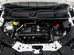 
										Renault KIGER KIGER 1.0 ENERGY LIFE full									
