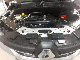 
										Renault KIGER KIGER 1.0 ENERGY LIFE full									