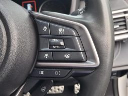 
										Subaru Outback 2.5i-Touring ES full									