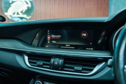 
										Alfa Romeo Stelvio 2.0T Q4 First Edition full									