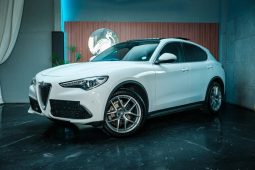 
										Alfa Romeo Stelvio 2.0T Q4 First Edition full									