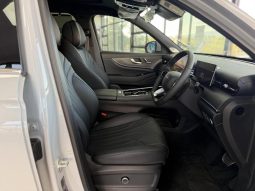 
										Chery Tiggo 9 2.0 Tgdi Pinnacle full									
