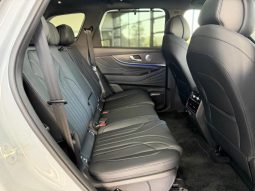 
										Chery Tiggo 9 2.0 Tgdi Pinnacle full									