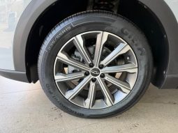 
										Chery Tiggo 9 2.0 Tgdi Pinnacle full									