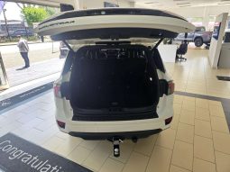 
										FORD TERRITORY / EVEREST EVEREST 3.0D V6 WILDTRAK AWD A/T full									