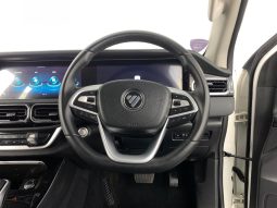
										Foton Tunland G7 Tl D Cab 4X2 At full									