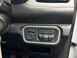 Gwm P Series 2.0 Td Dlx S Cab 4X2