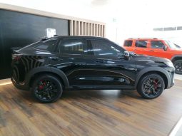 
										HAVAL H6 GT 2.0T S-LUXURY 7DCT full									