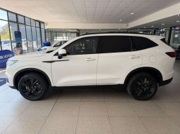 
										HAVAL H6 H6 1.5T HYBRID ULTRA LUXURY DHT full									