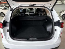 
										HAVAL H6 H6 2.0T SUPER LUXURY 4X4 DCT full									